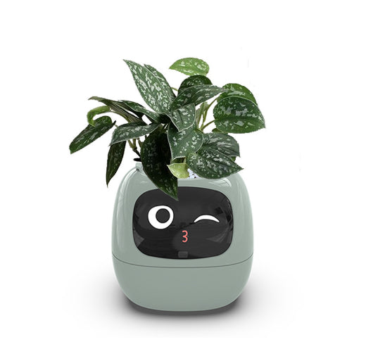 Smart Planter Endless Fun
