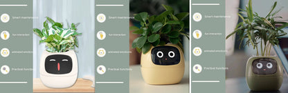 Smart Planter Endless Fun