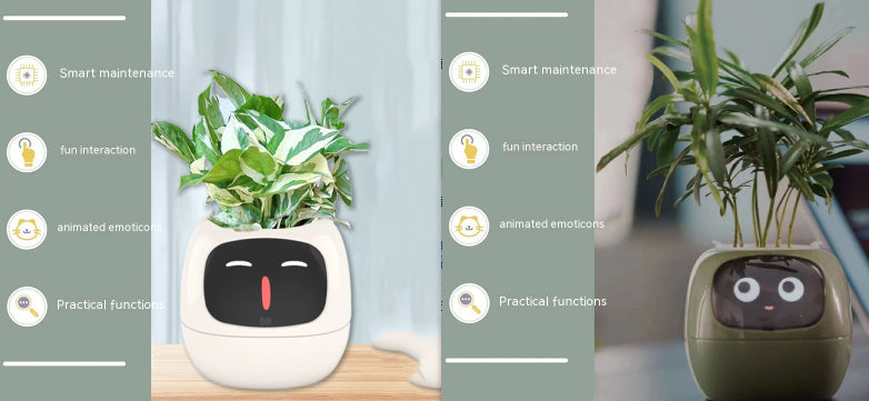 Smart Planter Endless Fun