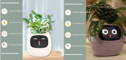 Smart Planter Endless Fun