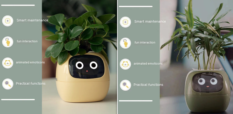 Smart Planter Endless Fun