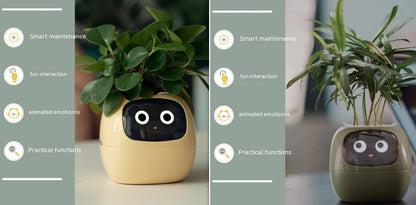 Smart Planter Endless Fun