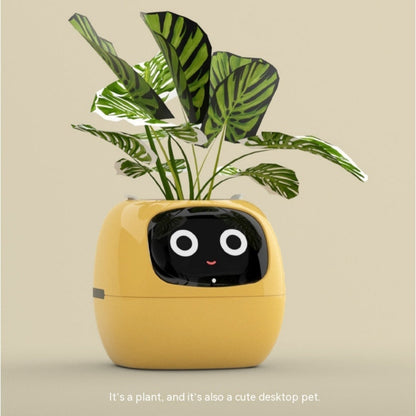 Smart Planter Endless Fun