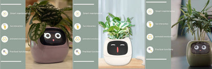 Smart Planter Endless Fun