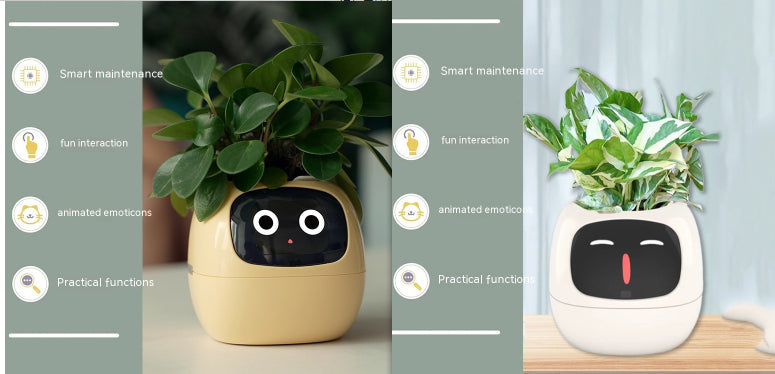 Smart Planter Endless Fun