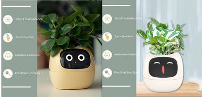 Smart Planter Endless Fun