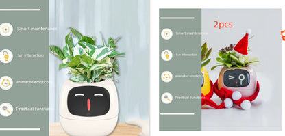 Smart Planter Endless Fun