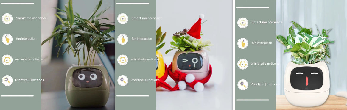 Smart Planter Endless Fun