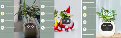 Smart Planter Endless Fun