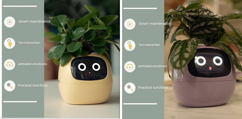 Smart Planter Endless Fun