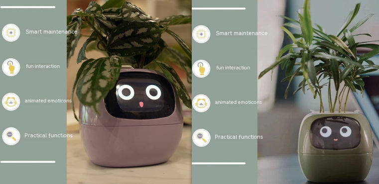 Smart Planter Endless Fun