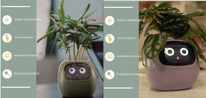 Smart Planter Endless Fun
