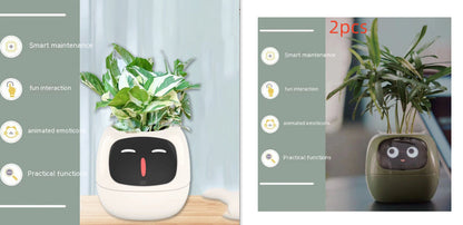 Smart Planter Endless Fun