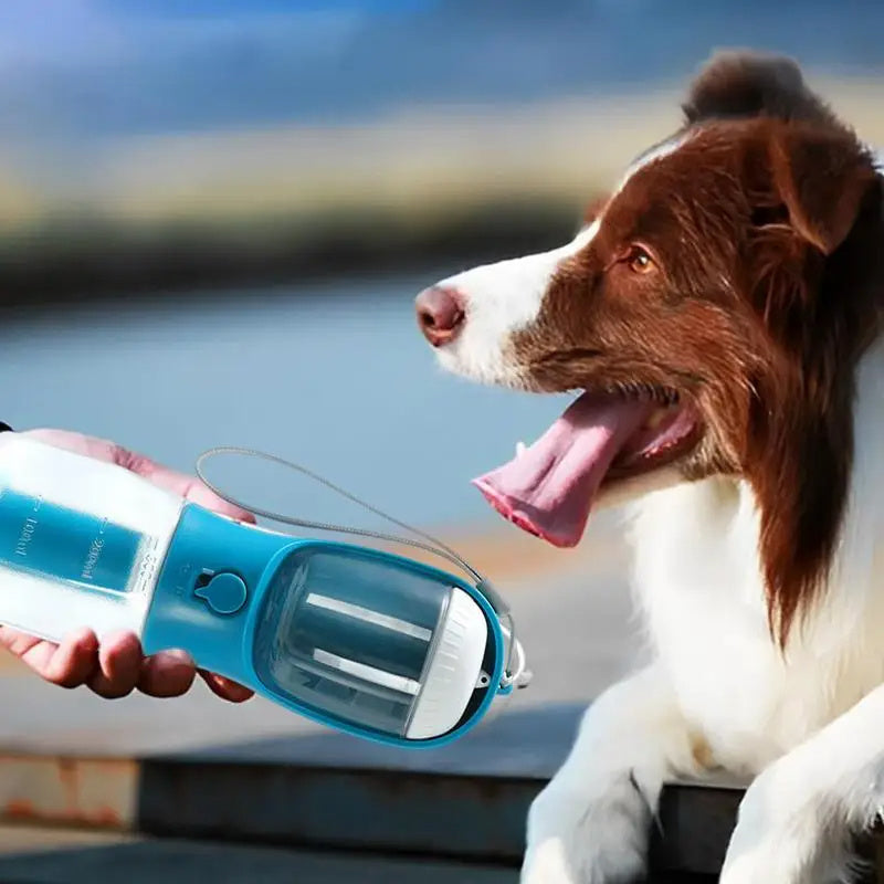 Portable Small Multi-functional Pet Cups Pets Supplies