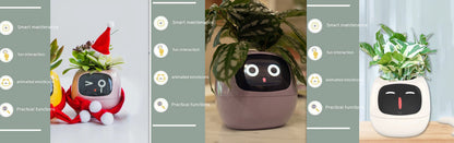 Smart Planter Endless Fun