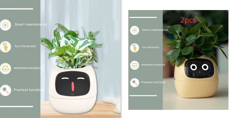 Smart Planter Endless Fun