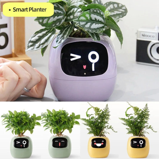 Smart Planter Endless Fun