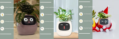 Smart Planter Endless Fun