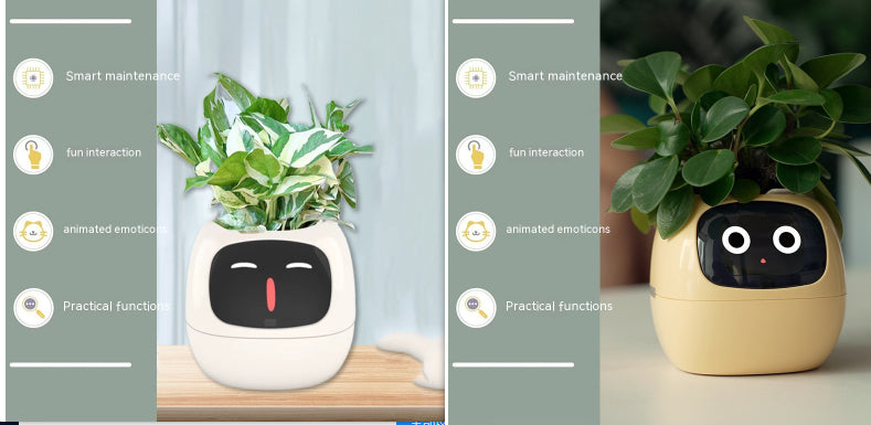 Smart Planter Endless Fun