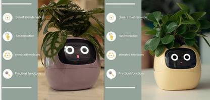 Smart Planter Endless Fun