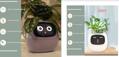 Smart Planter Endless Fun