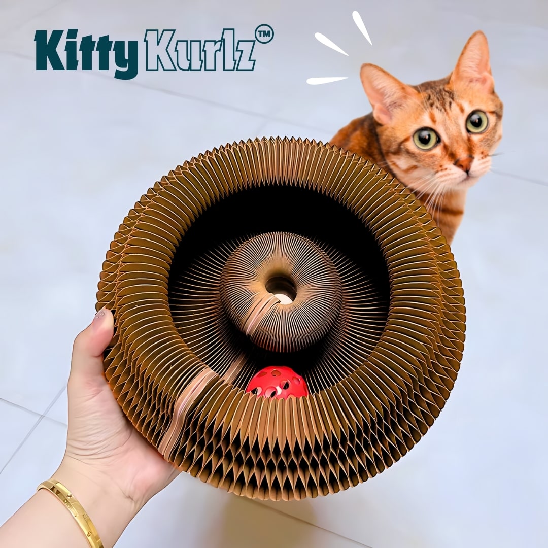 Kitty Kurlz™ ( Buy 1 Get 1 Free )