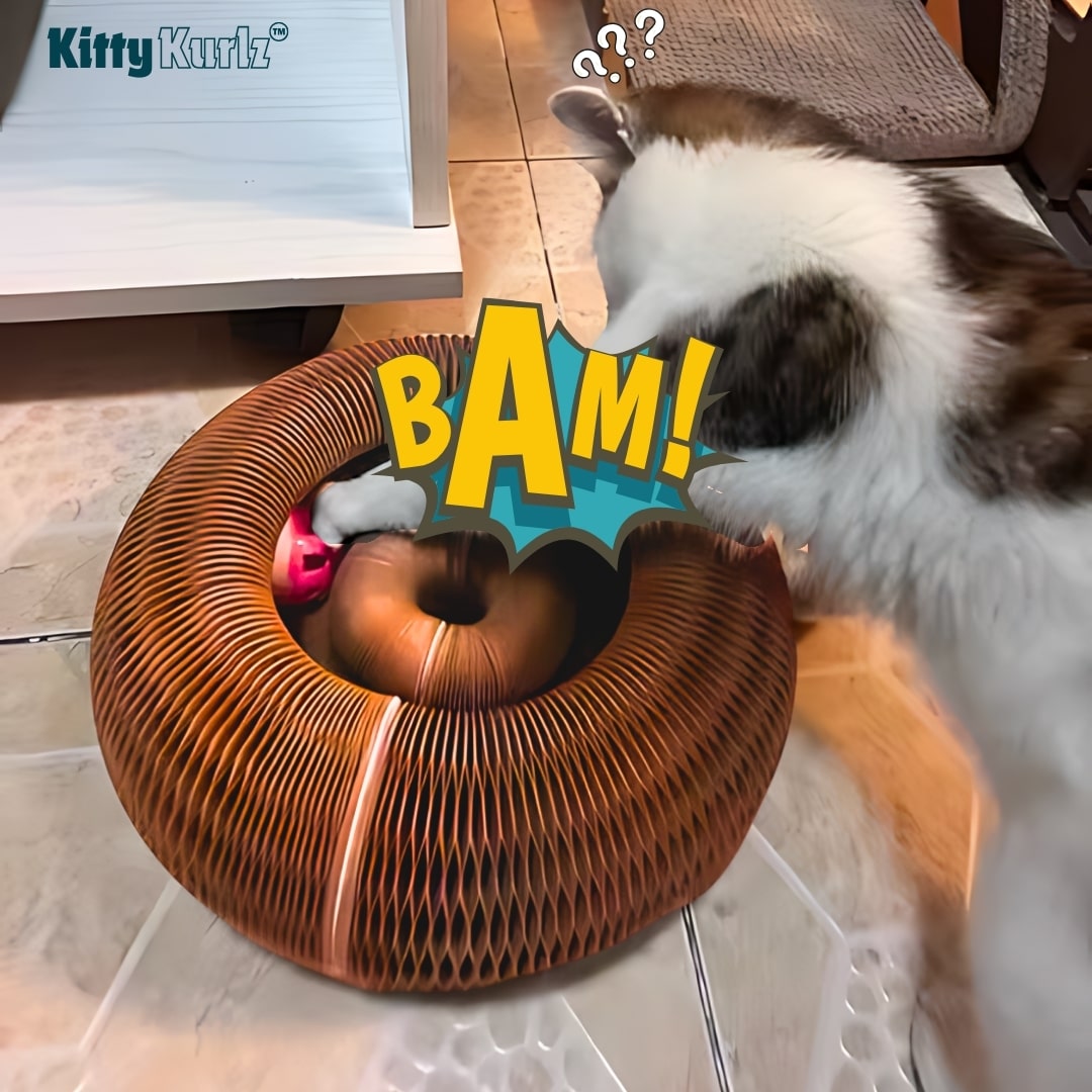 Kitty Kurlz™ ( Buy 1 Get 1 Free )