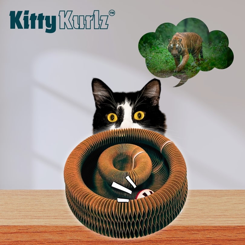 Kitty Kurlz™ ( Buy 1 Get 1 Free )
