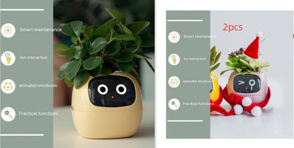 Smart Planter Endless Fun