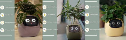 Smart Planter Endless Fun