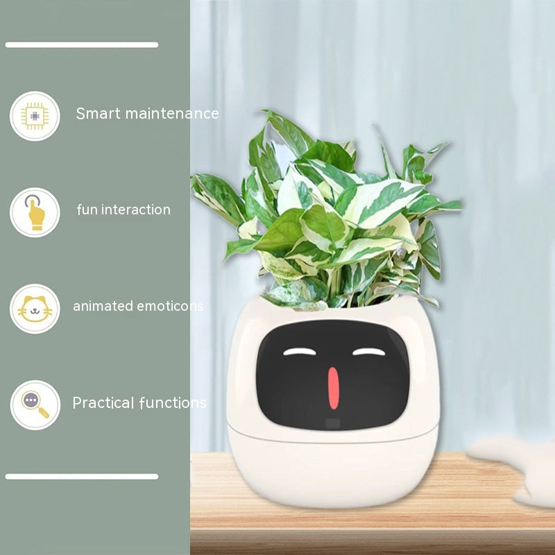 Smart Planter Endless Fun