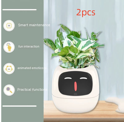 Smart Planter Endless Fun