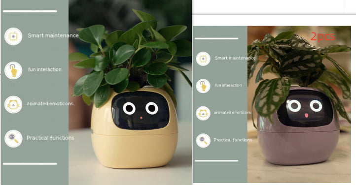 Smart Planter Endless Fun