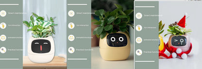 Smart Planter Endless Fun