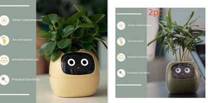 Smart Planter Endless Fun