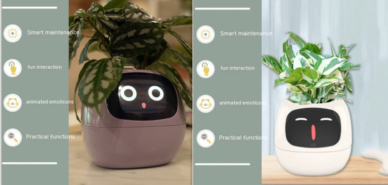 Smart Planter Endless Fun