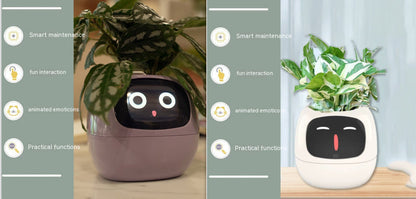 Smart Planter Endless Fun