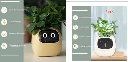 Smart Planter Endless Fun