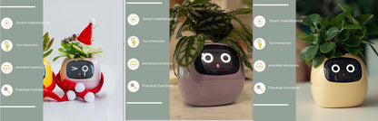 Smart Planter Endless Fun