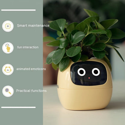 Smart Planter Endless Fun