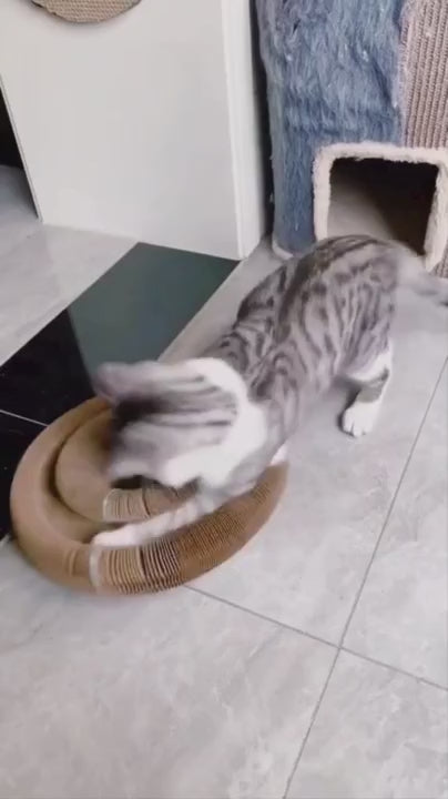 Kitty Kurlz™ ( Buy 1 Get 1 Free )